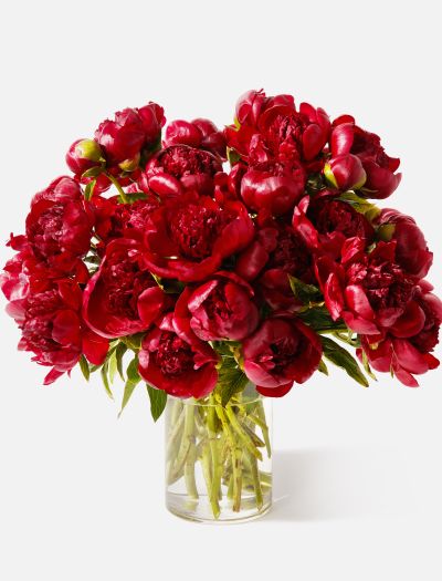 Triple The Cherry-FLRL-T-10042